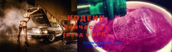 СК Бронницы