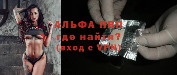 СК Бронницы