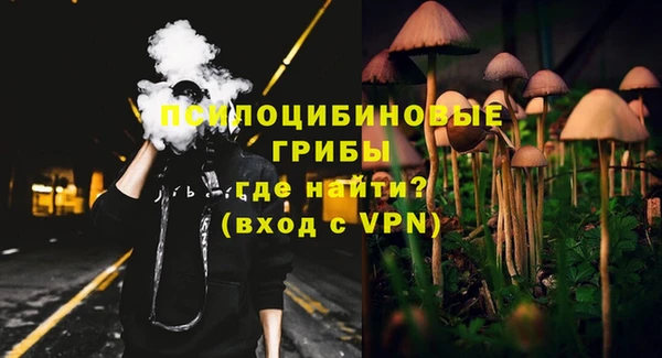 наркотики Бородино