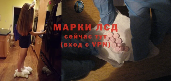 СК Бронницы