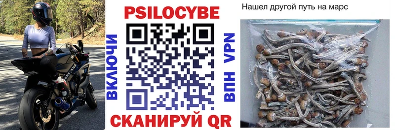 Галлюциногенные грибы Cubensis  как найти   Бугуруслан 